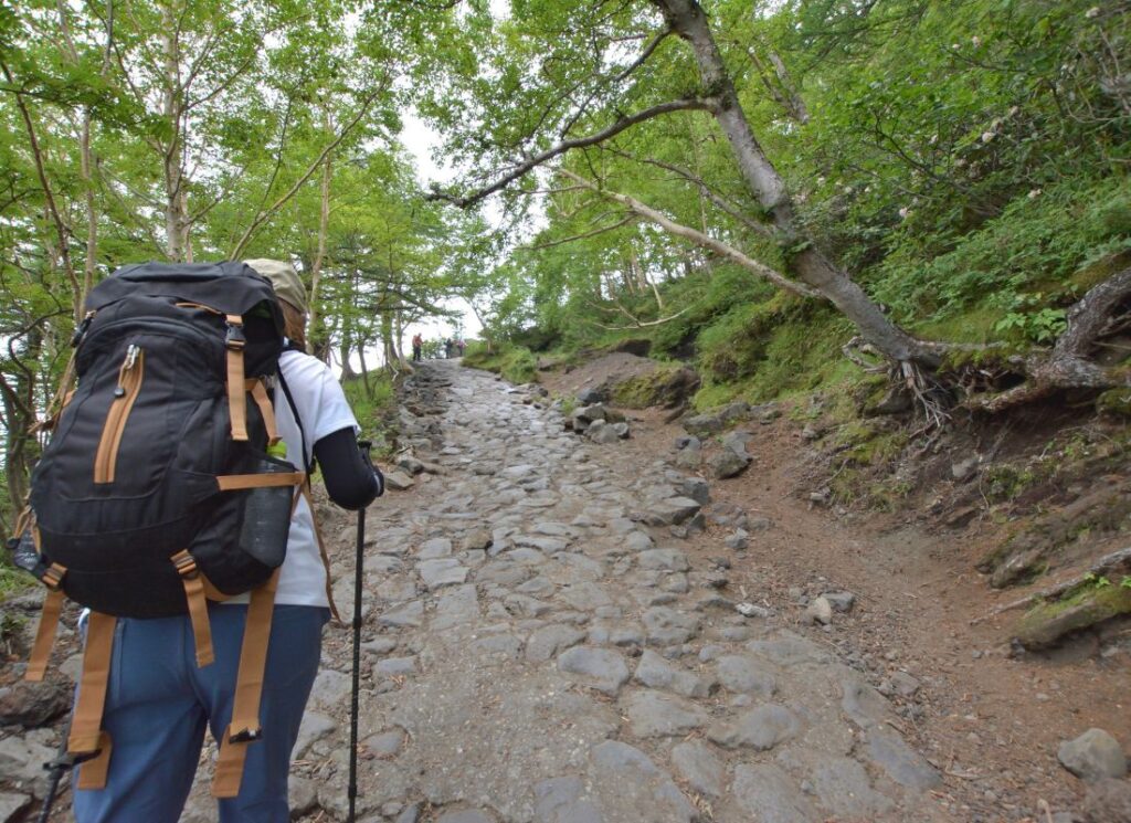 Climbing Mount Fuji