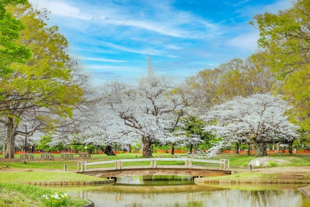 Yoyogi Park