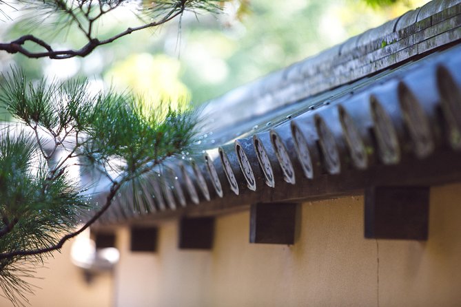 Hidden Kyoto E-Biking Tour - Zen Gardens and Backstreets: A Hidden Kyoto Experience