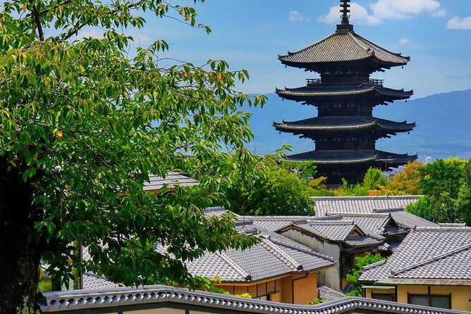 Private Kyoto Full Day Tour With Driver and Car From Osaka - Pricing Information