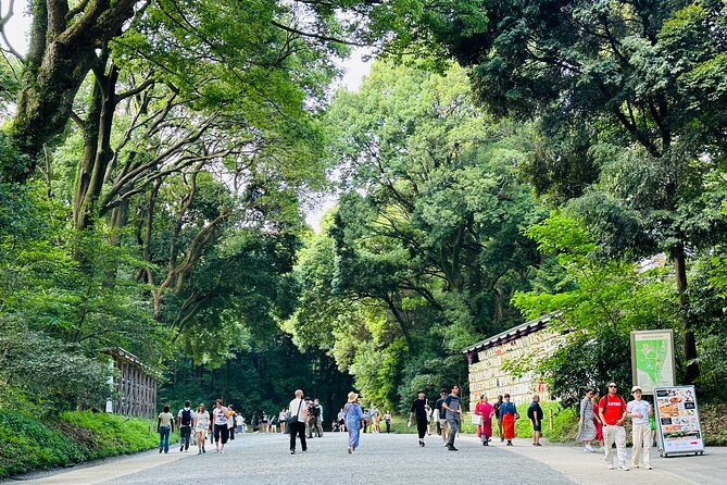 Sacred Morning Walk and Brunch Meiji Shrine - Overview and Experience