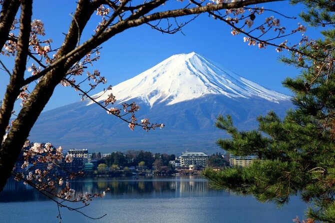 Mt Fuji and Hakone 1-Day Bus Tour Return by Bullet Train (Shinkansen) - Experience the Magnificence of Mt Fuji