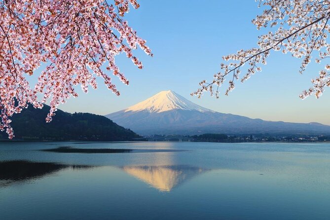 The Taste of Japan: 2-Day Tour of Tokyo and Mount FUJI - Good To Know