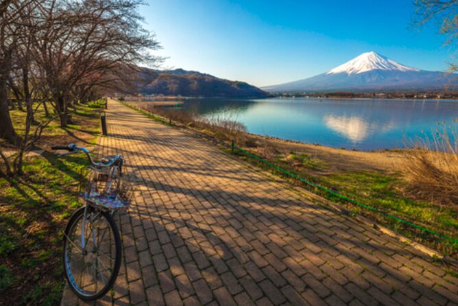 Mt. Fuji's Fifth Station & Lake Kawaguchiko Cycling Tour - Accessibility and Transportation Options