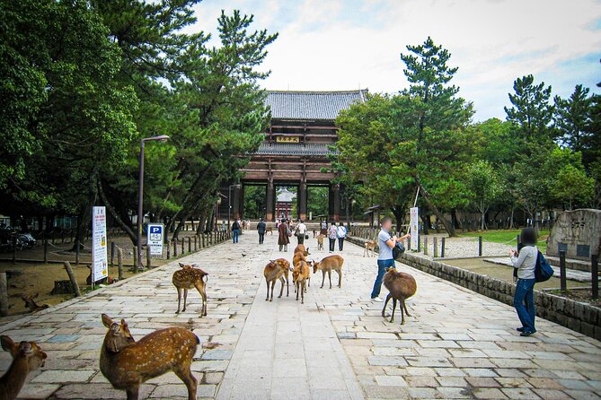 Nara World Heritage Todaiji Visit and Naramachi Tour - The Sum Up