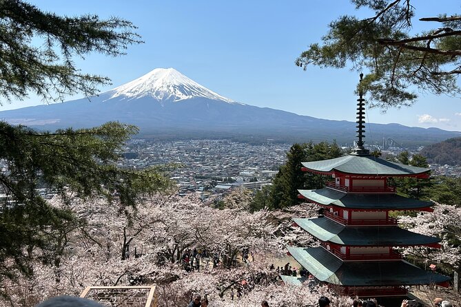 Full Day Mt.Fuji Tour To-And-From Yokohama&Tokyo, up to 12 Guests - Minimum Traveler Requirement