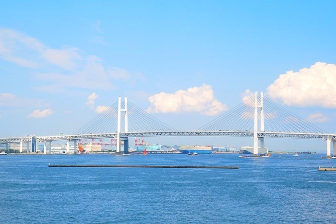 Yokohama Port Shared Transfer : From Narita Airport to Yokohama Port - Meeting and Pickup