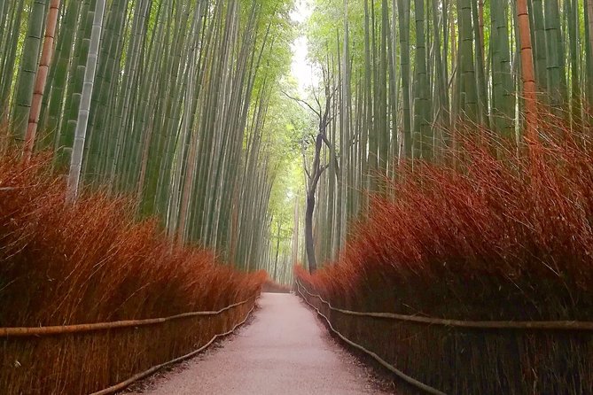 5 Top Highlights of Kyoto With Kyoto Bike Tour - Expertly Guided Sightseeing Adventures