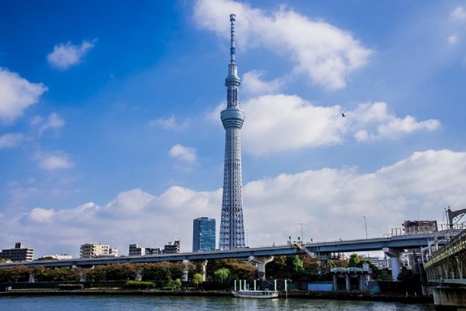 Freely Set up Plans Guided Private Tours in Tokyo - Benefit From Flexible Cancellation Policy