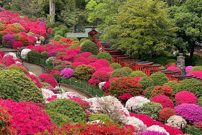 The Old Quarter of Tokyo - Yanaka Walking Tour - The Sum Up