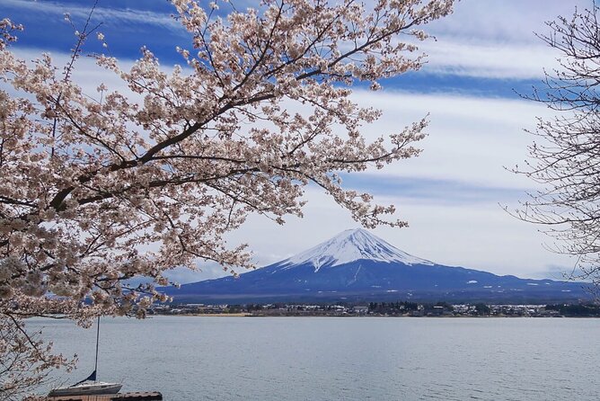 Mt. Fuji Private Tour With English Speaking Driver - Reviews and Ratings