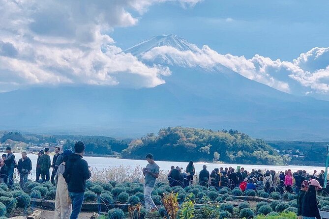 Mt. Fuji and Lake Kawaguchi Day Trip With English Speaking Driver - What To Expect