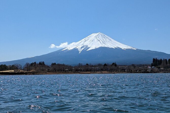 Mt. Fuji and Lake Kawaguchi Day Trip With English Speaking Driver - Customer Reviews