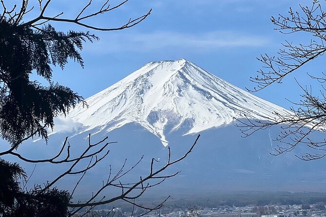 Mt. Fuji and Lake Kawaguchi Day Trip With English Speaking Driver - Booking Information