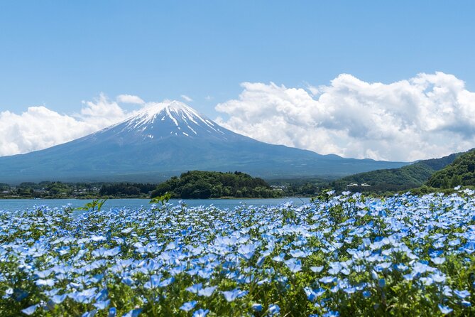 Mt. Fuji Day Trip Bus Tour From Tokyo - Tips for the Trip