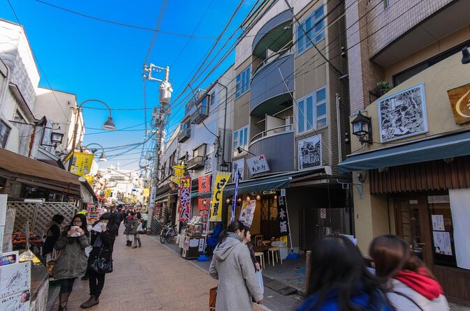 Experience Old and Nostalgic Tokyo: Yanaka Walking Tour - Good To Know