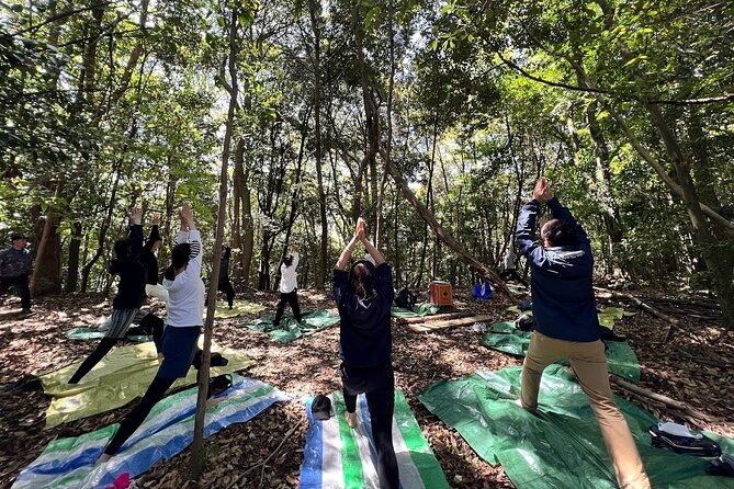 Hiroshima Spring Morning Hike Tour&Open-air Tea Ceremony