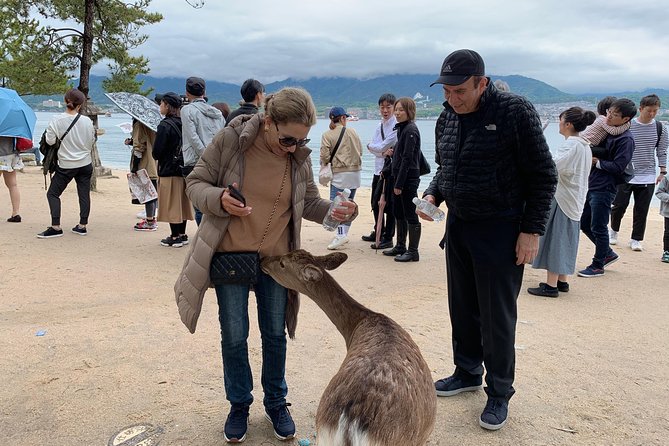 Hiroshima / Miyajima Full-Day Private Tour With Government Licensed Guide - Reviews and Recommendations