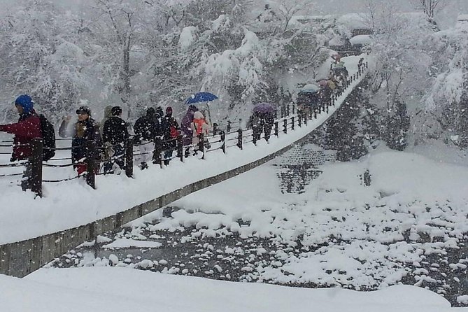 [One-Day Bus Tour Departing From Kanazawa Station] Shirakawa-Go and Gokayama - Two World Heritage Villages Enjoyable Bus Tour - Traveler Experiences