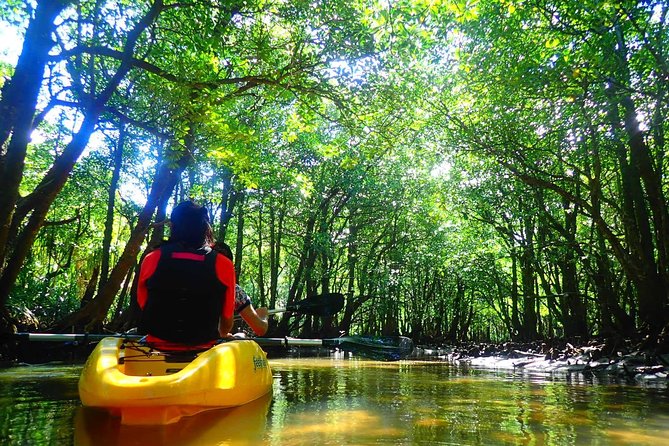 [Okinawa Iriomote] Sup/Canoe Tour in a World Heritage - Tour Requirements and Accessibility